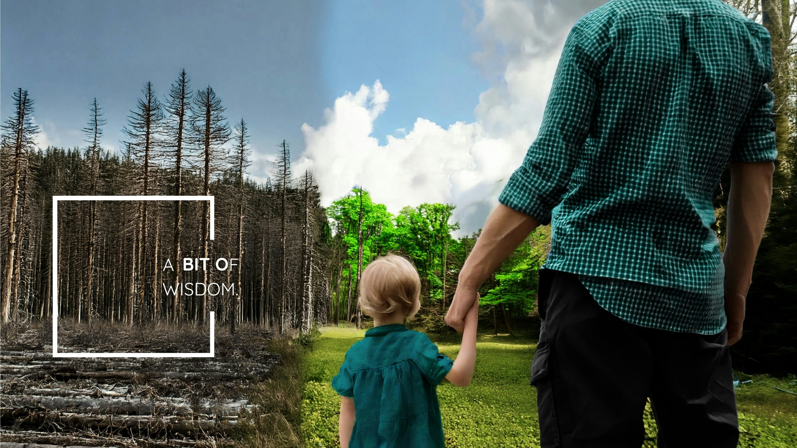 Vater und Kind Hand in Hand vor einem Wald: Links beschädigt, rechts saftig grün – Symbol für nachhaltige Entscheidungen.