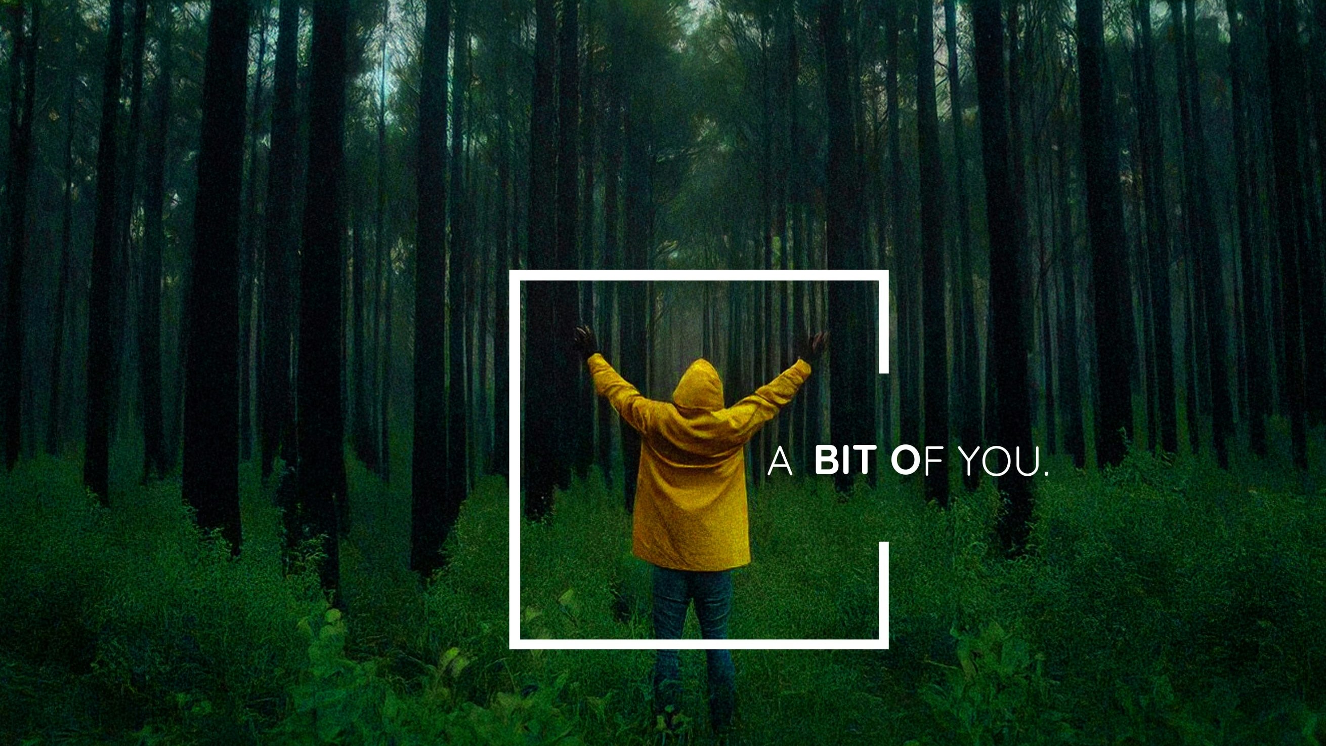 Person in gelber Regenjacke streckt die Arme in einem grünen Wald nach oben – Symbol für Umweltschutz und Freiheit.