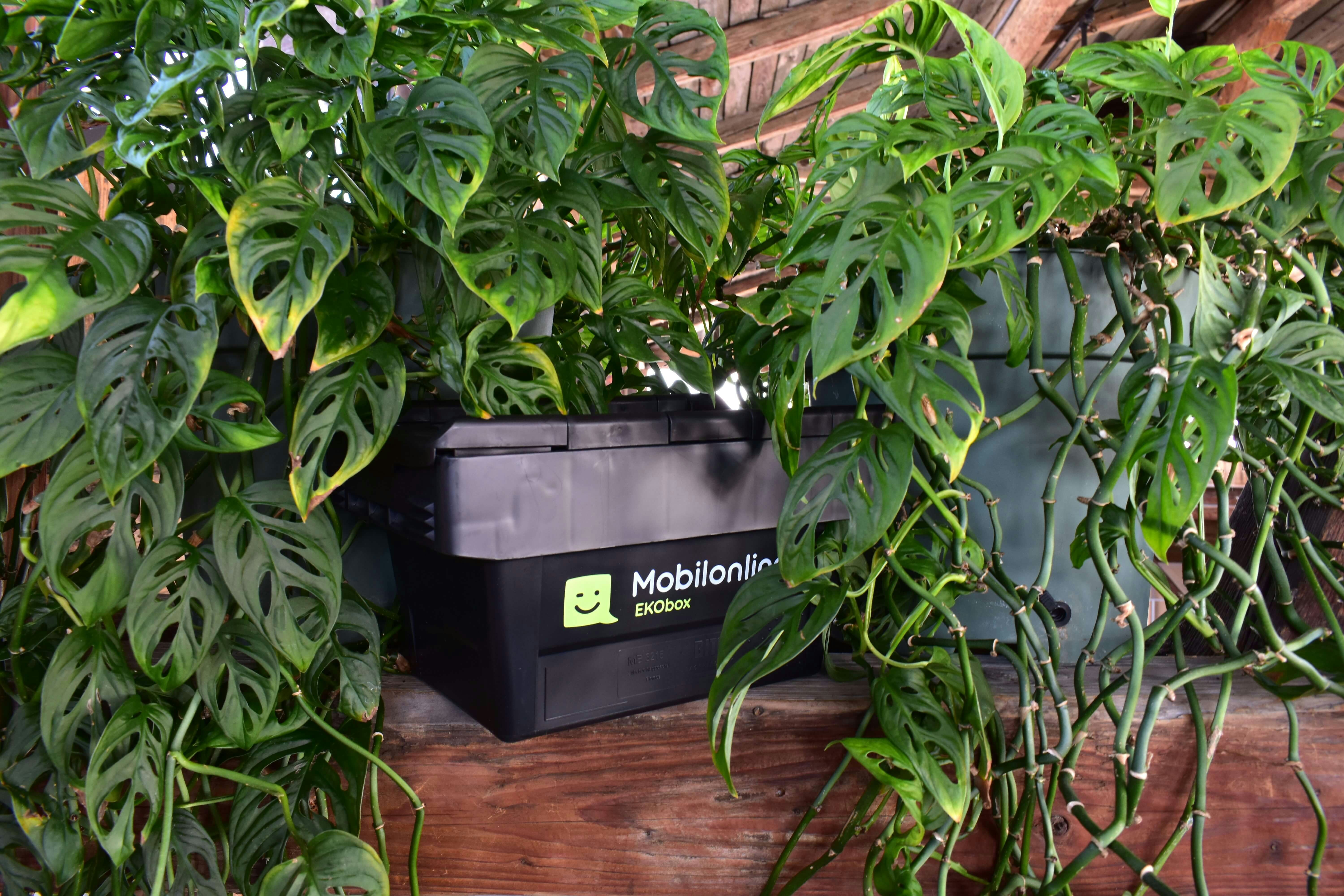 Ein Behälter mit der Aufschrift Mobileonline steht unter grünen Pflanzen