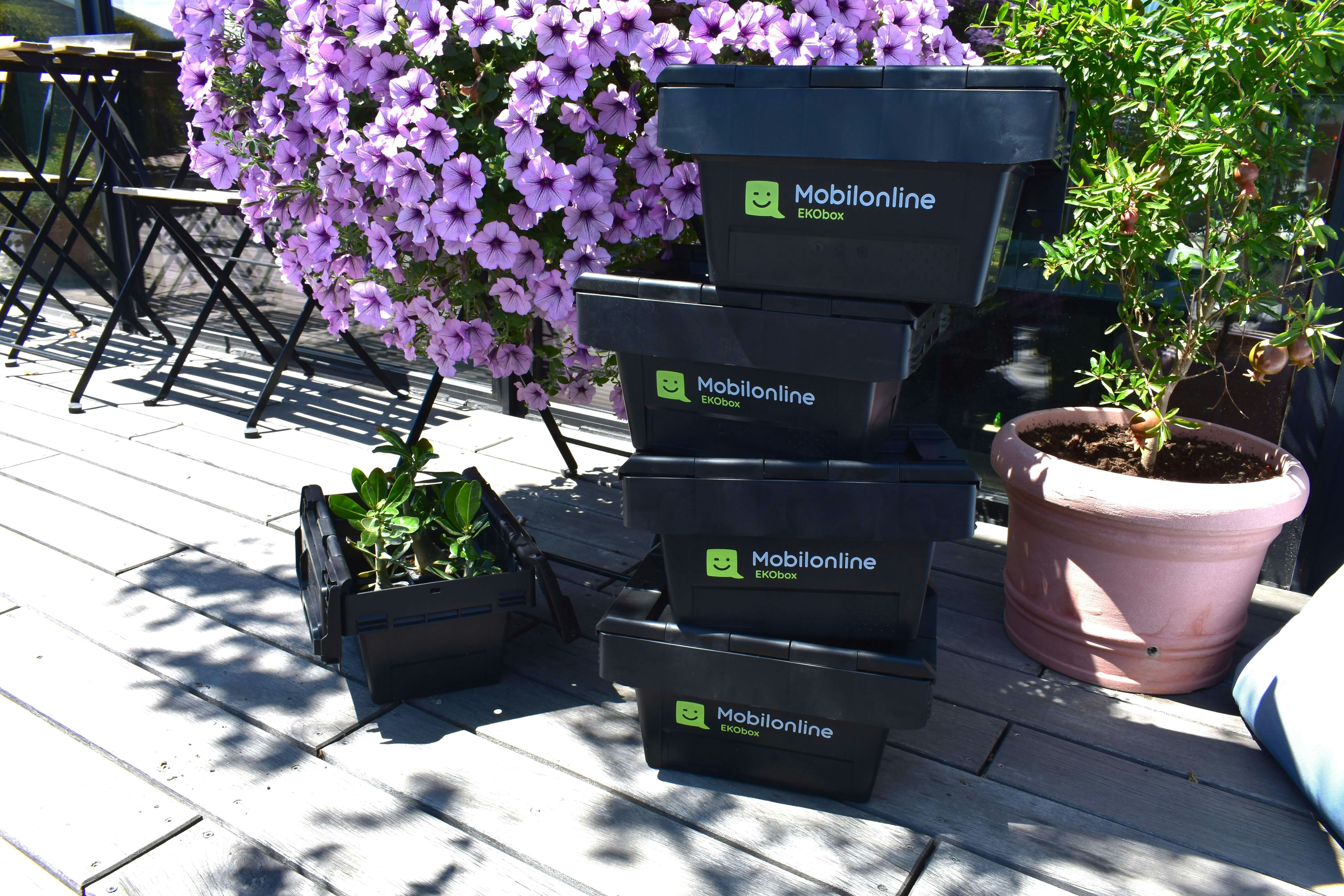Vier gestapelte Behälter mit der Aufschrift Mobilonline stehen vor blühenden Blumen. In dem gleichen Behälter links daneben sieht man eine Pflanze wachsen.