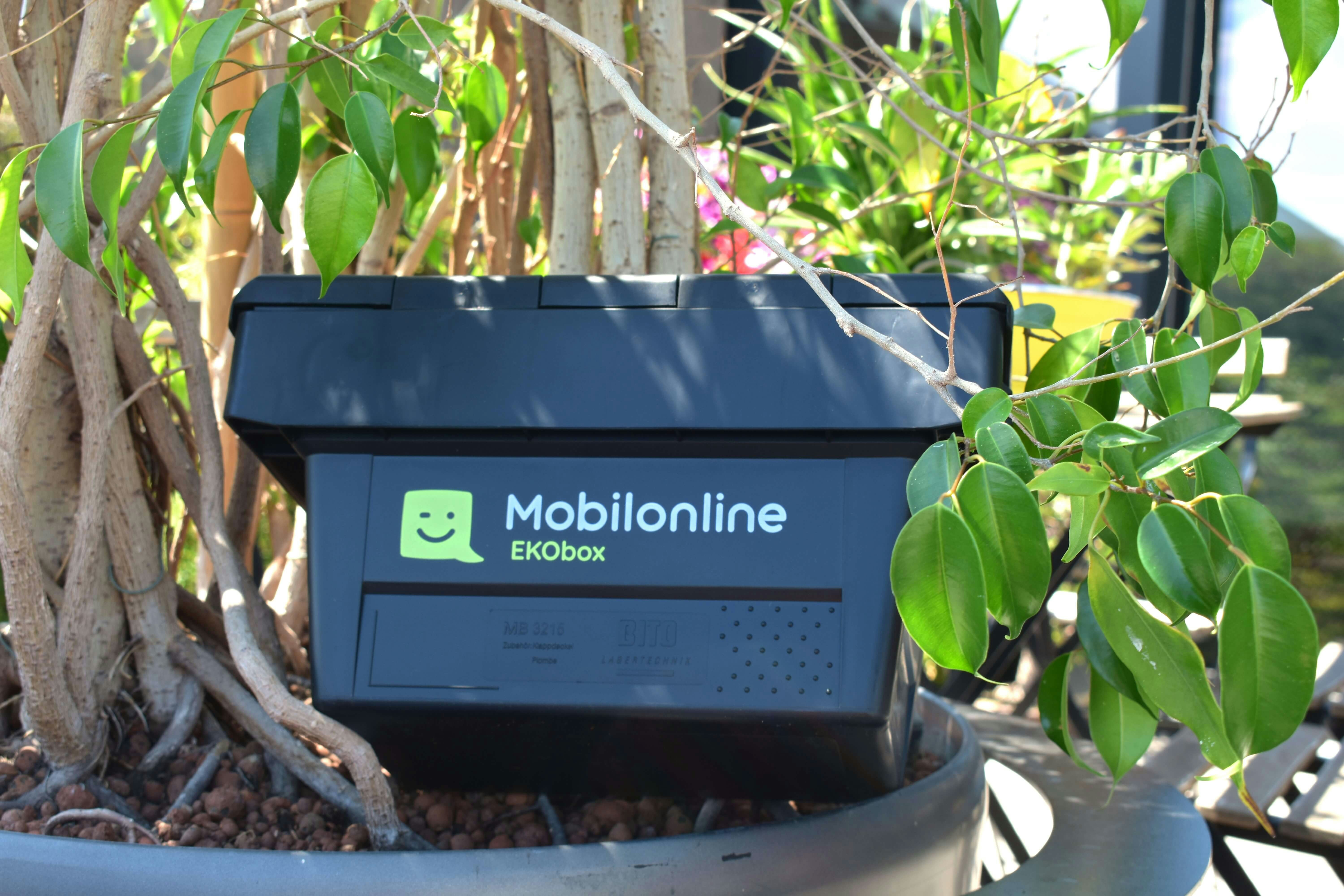 Ein BITO Behälter mit der Aufschrift Mobilonline steckt in einem Blumentopf neben einer Pflanze.