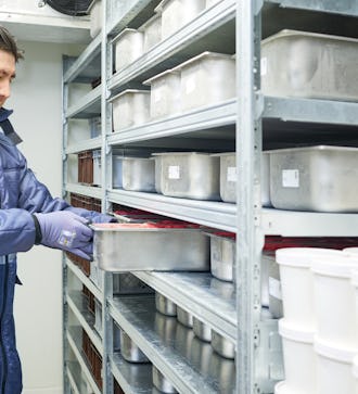 Magazynowanie w chłodniach