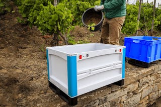 BITO Schwerlastbehälter bei der Traubenlese