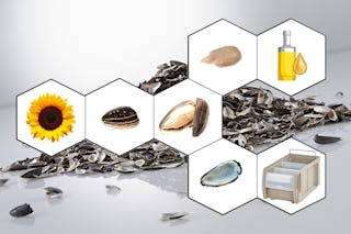 De foto toont een zonnebloem, een zonnebloempit en de pel en naast de pel een magazijnbak van BITO.