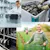 Labor, storage and agriculture in a collage