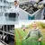 Labor, storage and agriculture in a collage