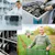 Labor, storage and agriculture in a collage
