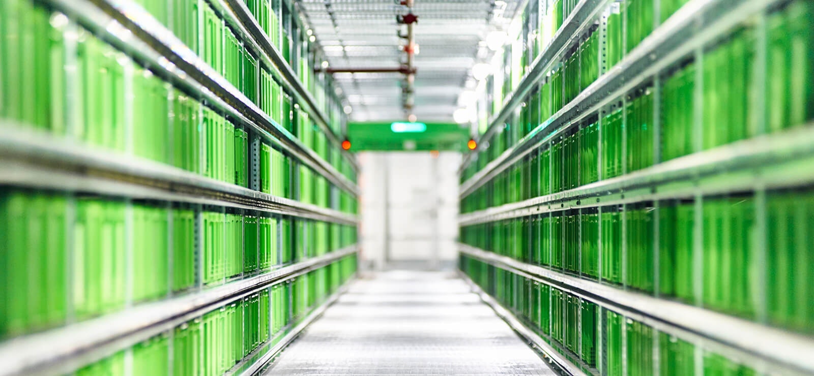 Grüne Behälter im Regal zum Thema Behälterrecycling