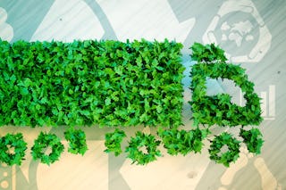 Bild zum Thema CO2 Neutralität