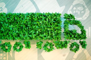 Bild zum Thema CO2 Neutralität