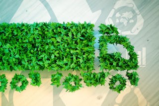 Bild zum Thema CO2 Neutralität