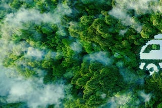 Bild zum Thema CO2 reduzieren