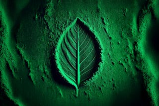 Grünes Pulver indem sich die Struktur eines Blattes abzeichnet