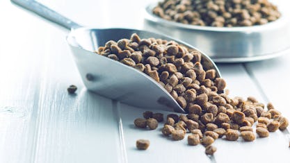 Mobile Commerce im Markt für Heimtierbedarf