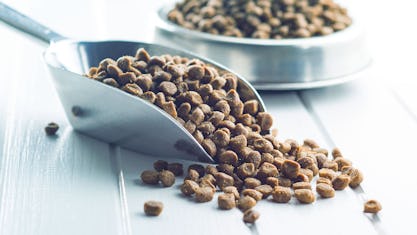 Mobile Commerce im Markt für Heimtierbedarf