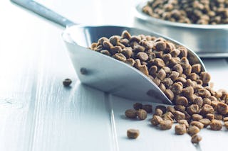 Kelle und Napf, gefüllt mit Tierfutter