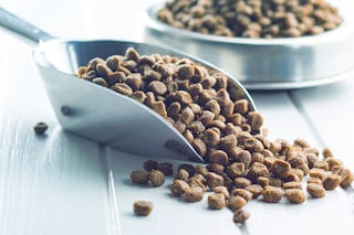 Kelle und Napf, gefüllt mit Tierfutter