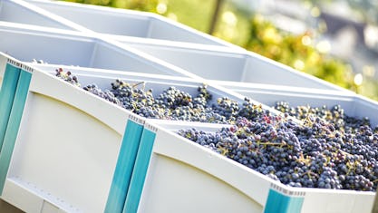 Moderne Logistik revolutioniert Landwirtschaft