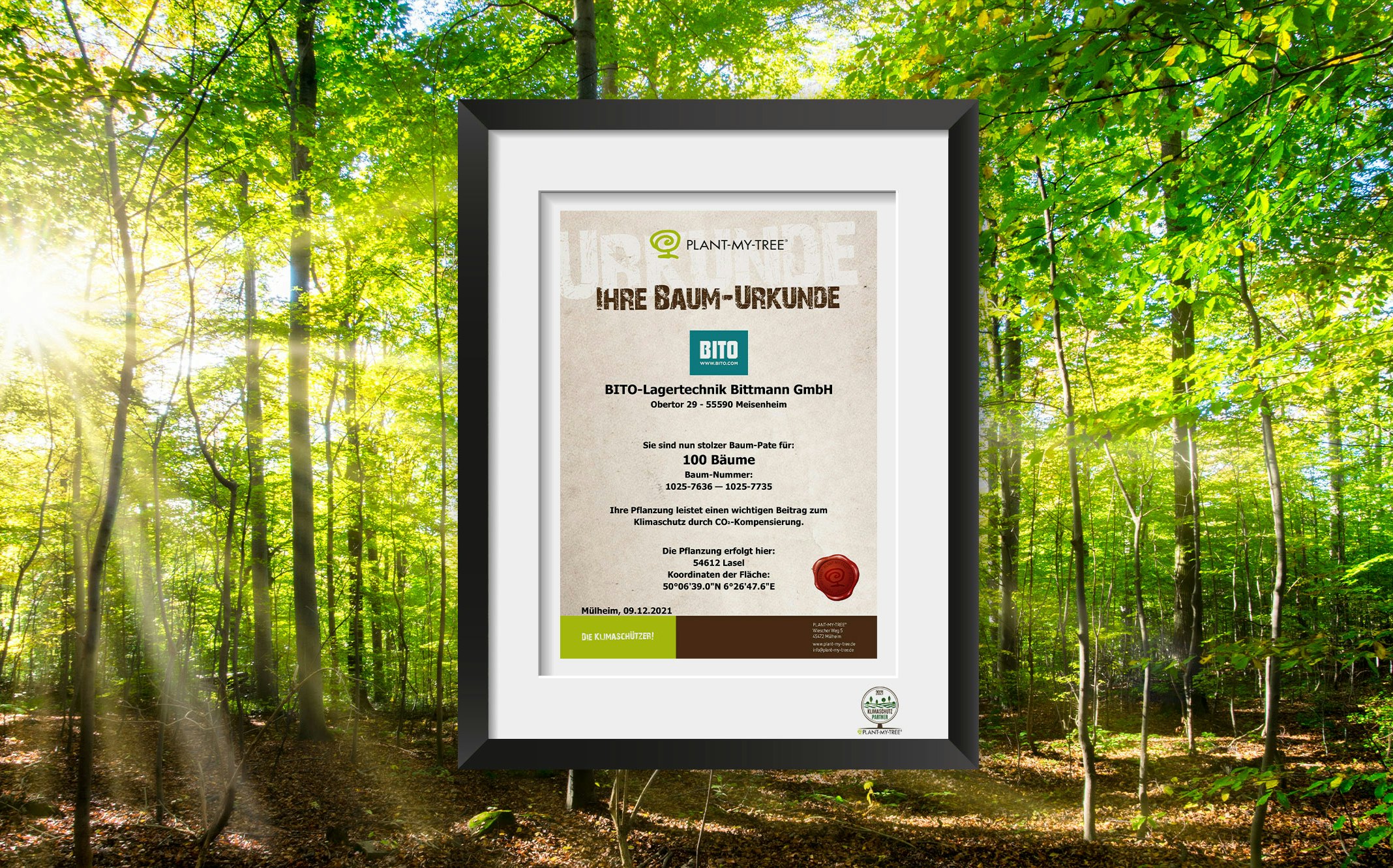 Baum Urkunde. Hier wurde ihr Baum Gepflanzt. BITO zum Thema Nachhaltigkeit.