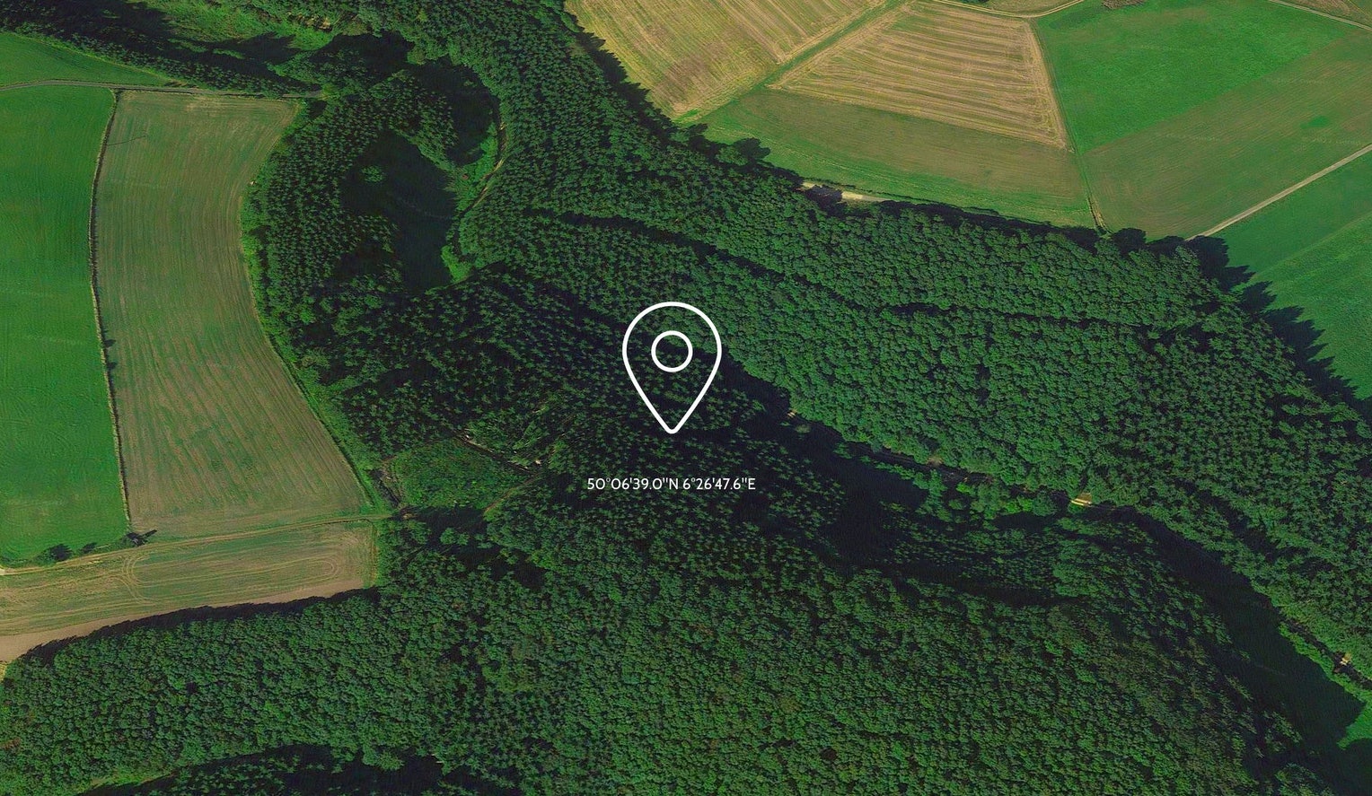 Ein Waldstück mit Koordinaten gekennzeichnet.