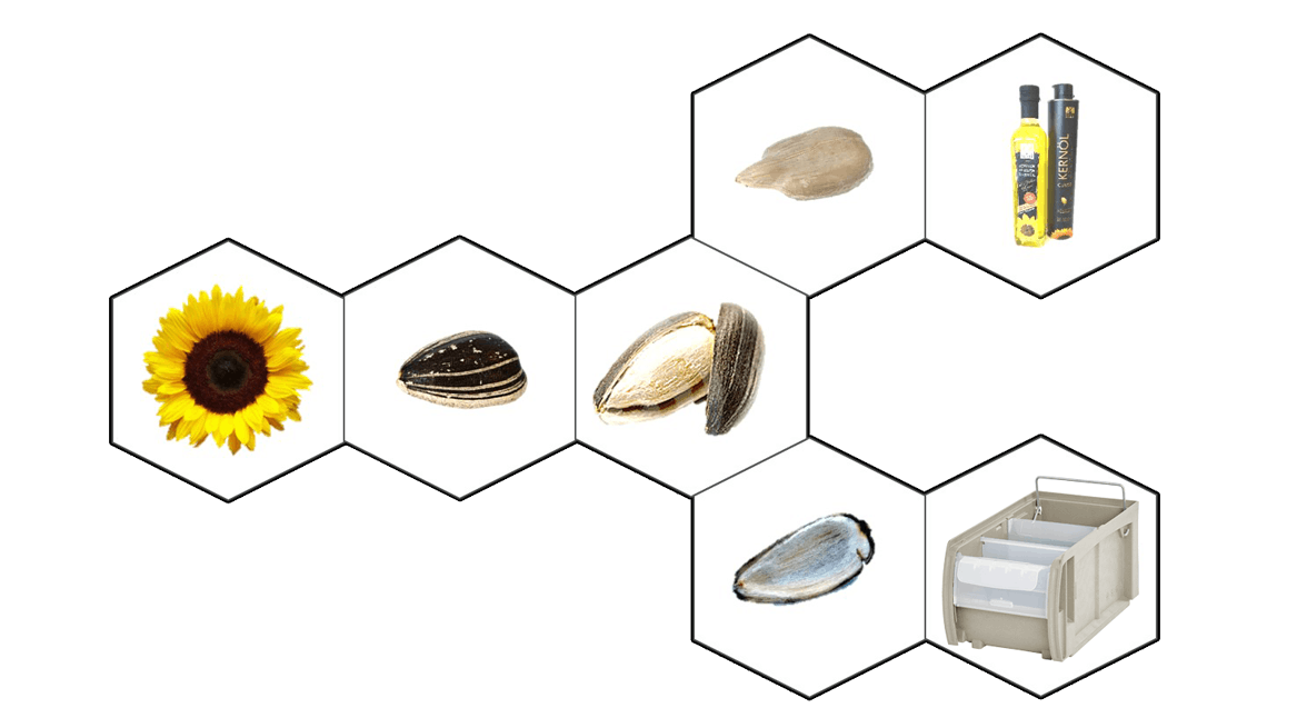 BITO Bild zum Thema Nachhaltigkeit. Der Weg einer Sonnenblume, vom Kern zum Öl und die Schale zum BITO Behälter.