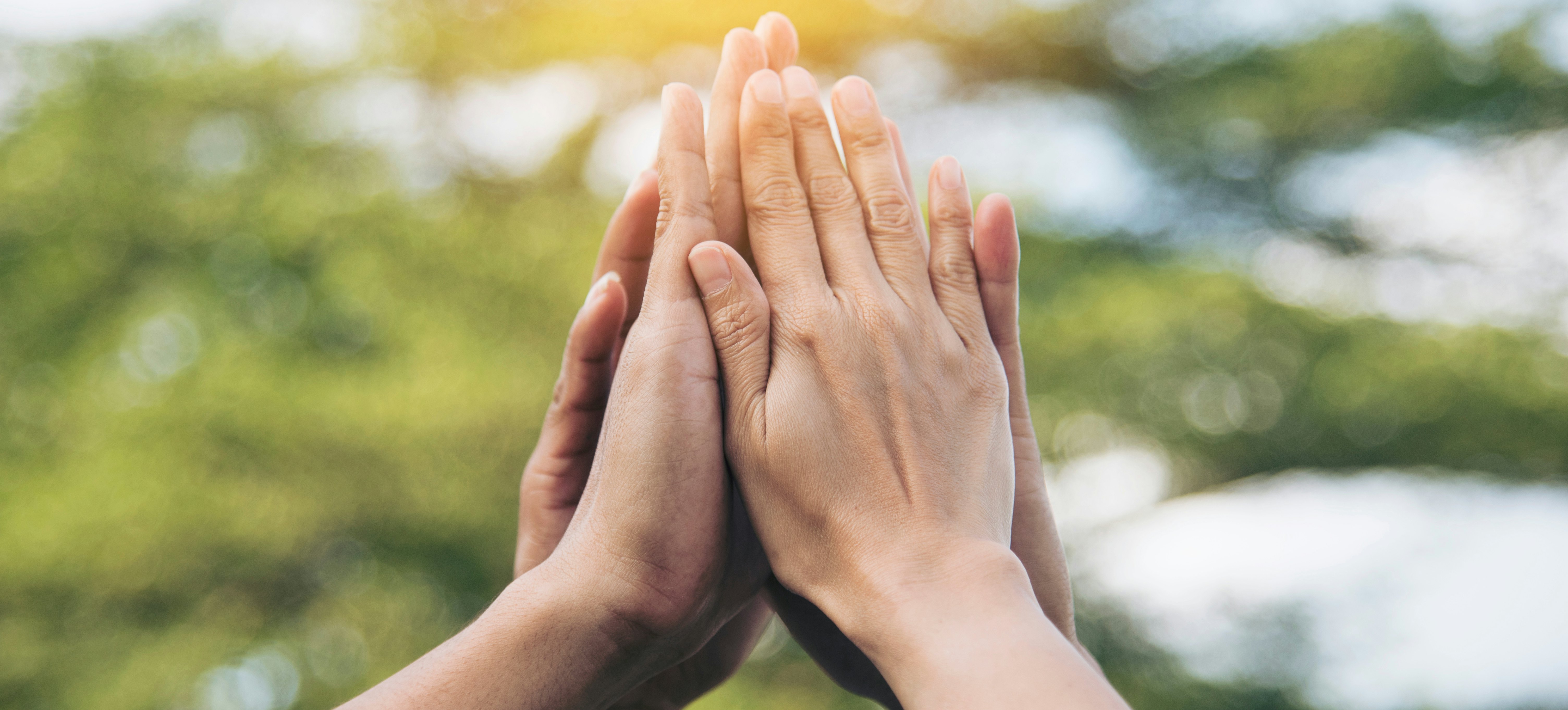 Mehrere Hände die sich in der Luft berühren.