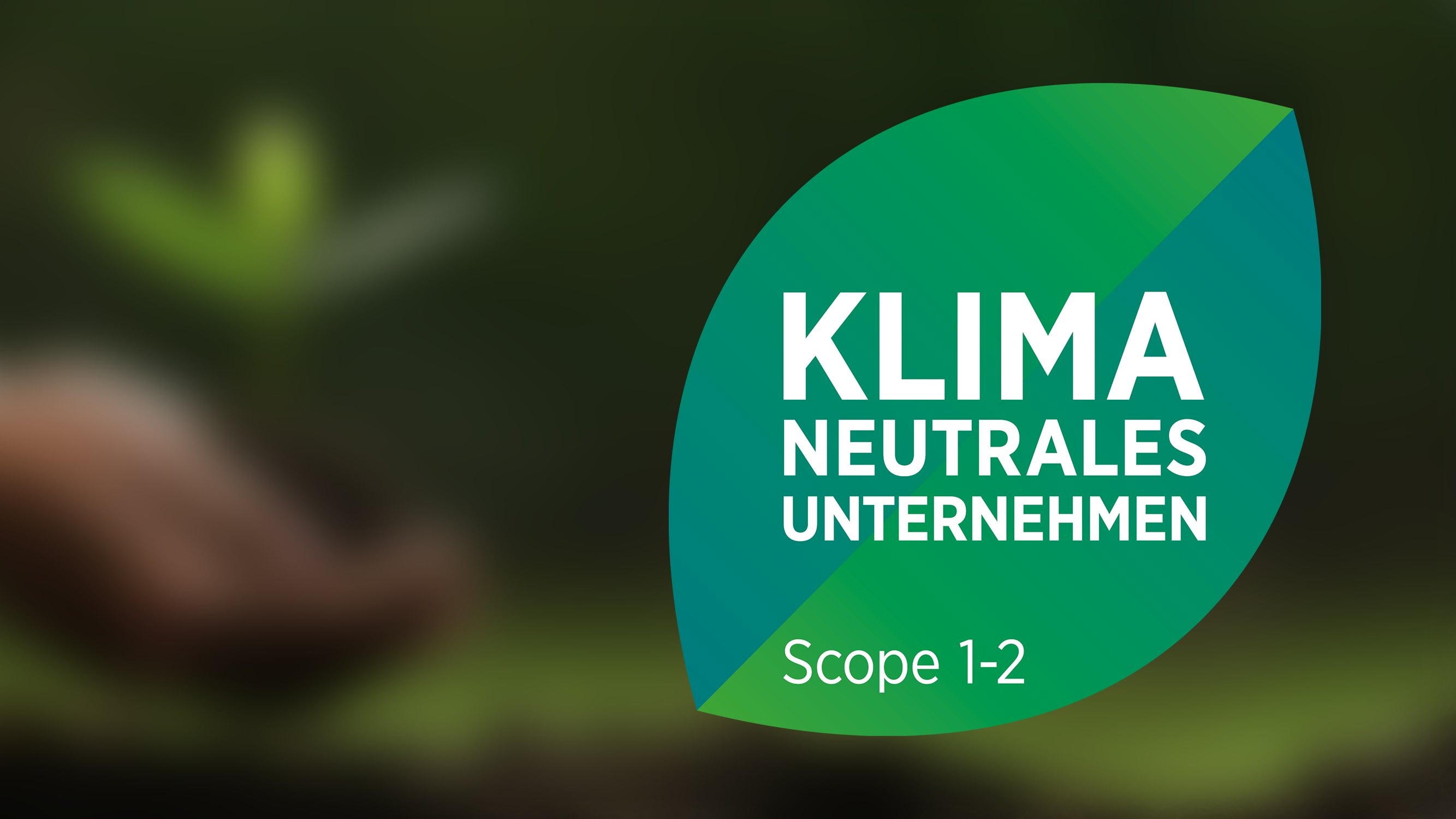 Grafik eines Blattes zum Thema Klimaneutralität des Unternehmens BITO.