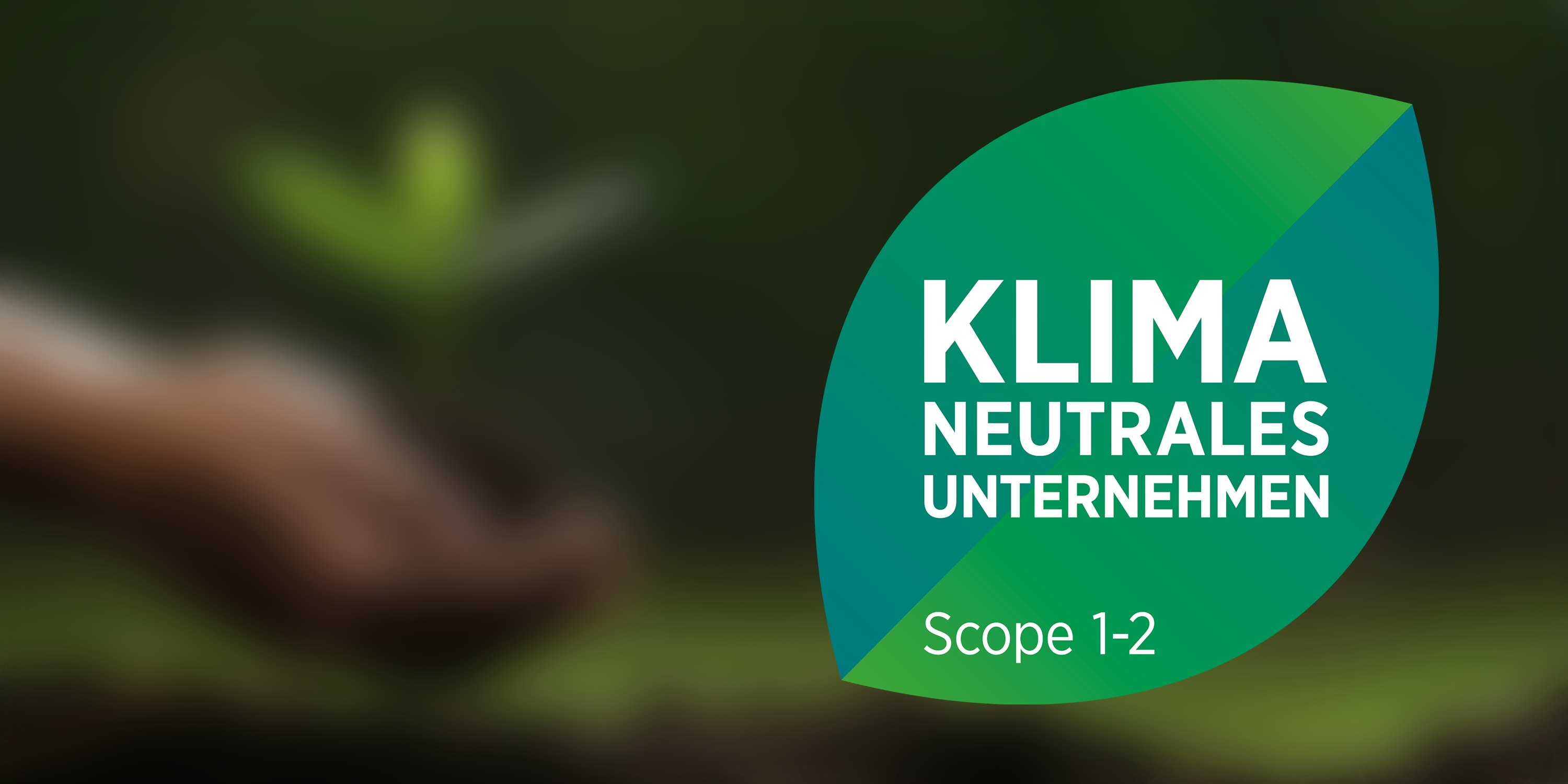 Grafik eines Blattes zum Thema Klimaneutralität des Unternehmens BITO.